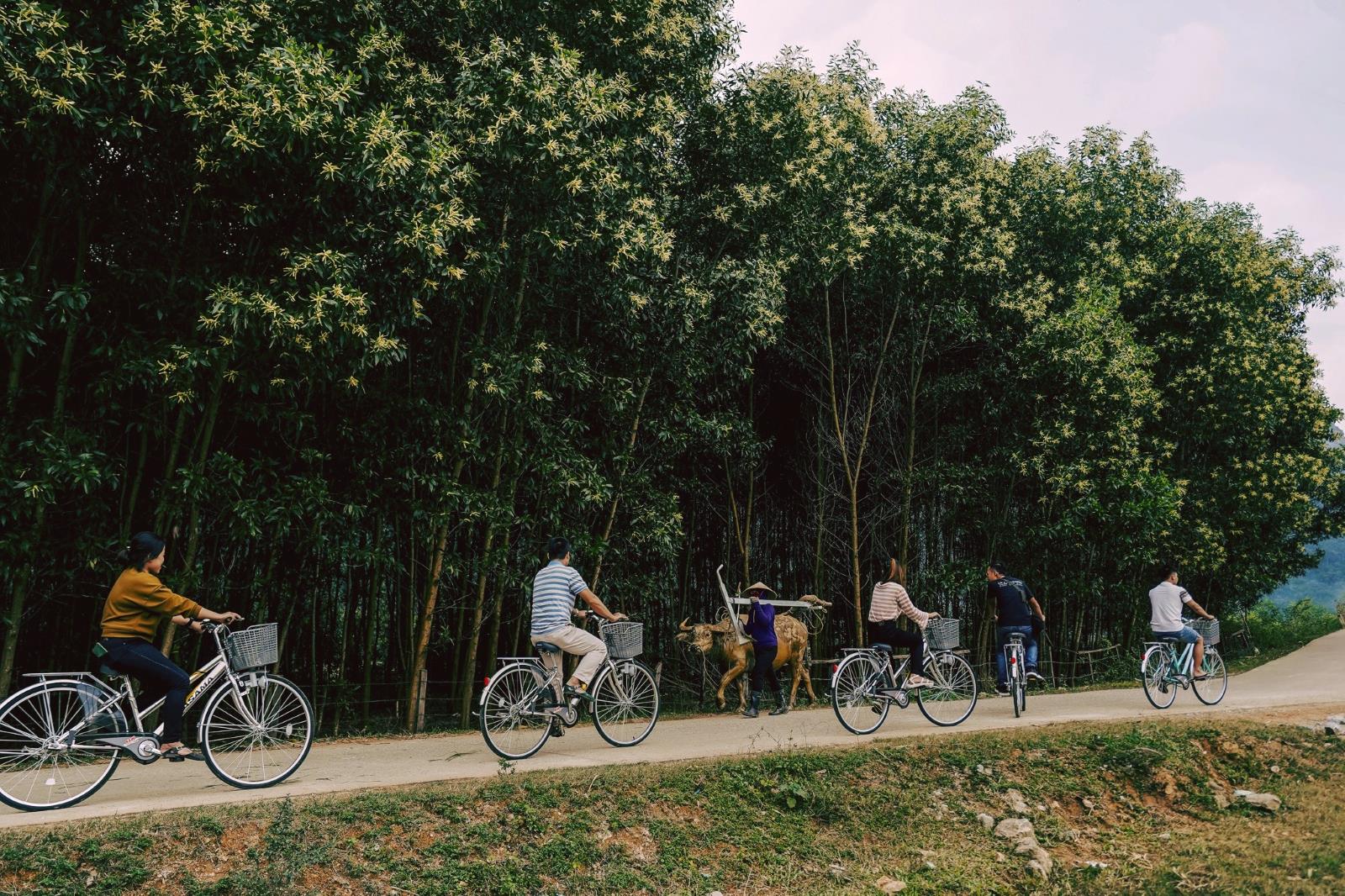 Tour to experience Tan Hoa countryside by bicycle